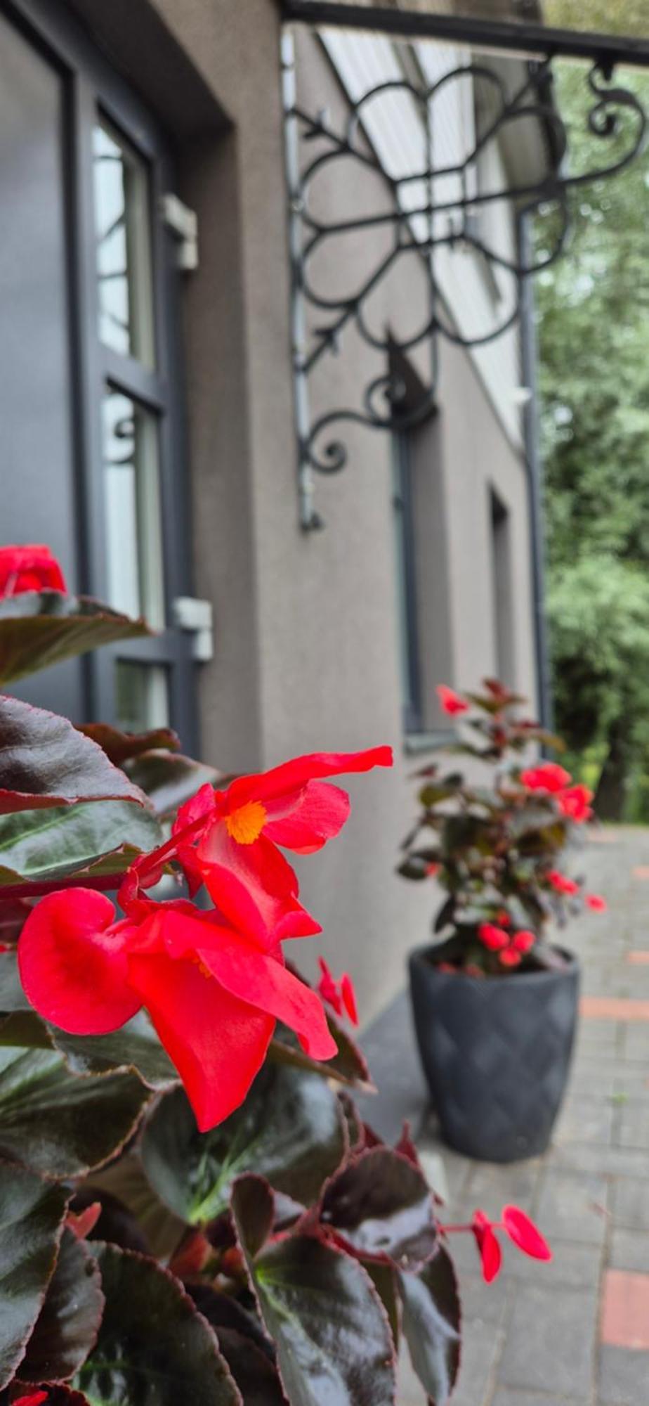 Aparthotel Saules Iela 2A Saldus Zewnętrze zdjęcie