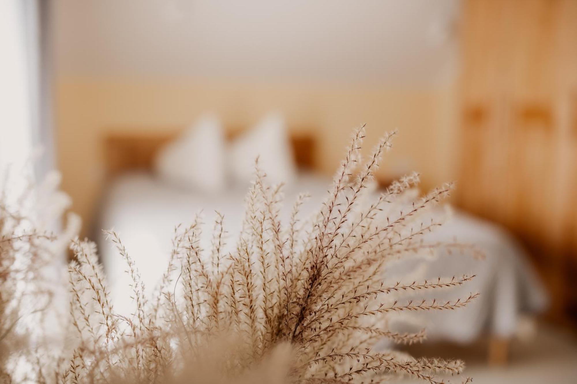 Aparthotel Saules Iela 2A Saldus Pokój zdjęcie